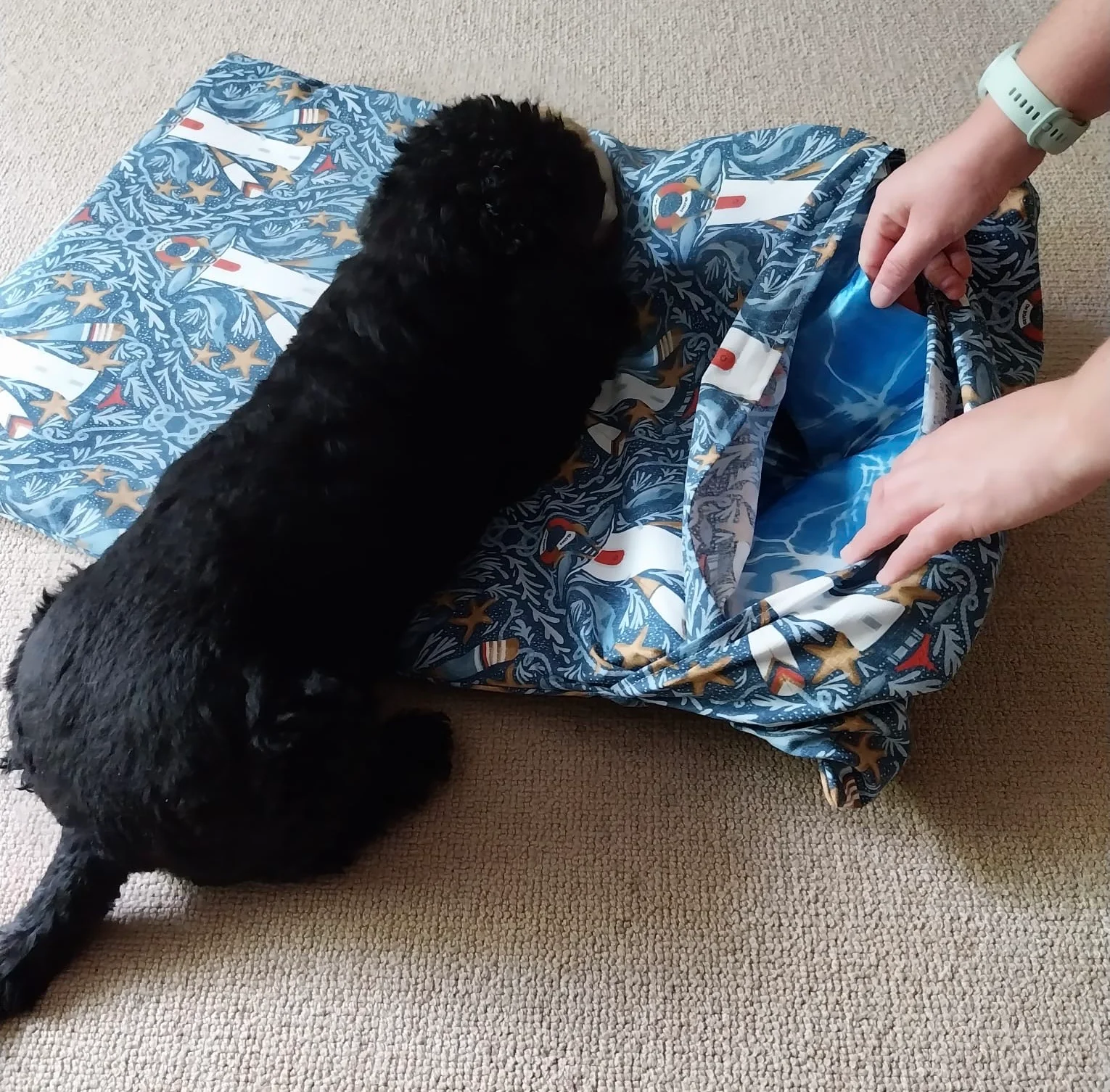 Luxury Comfort for Loyal Companions